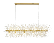  GL87C47BR - Brass Chandelier